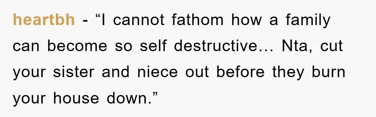 heartbh - “I cannot fathom how a family can become so self destructive… Nta, cut your sister and niece out before they burn your house down.”