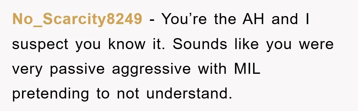 No_Scarcity8249 − You’re the AH and I suspect you know it. Sounds like you were very passive aggressive with MIL pretending to not understand.