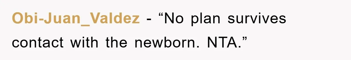 Obi-Juan_Valdez - “No plan survives contact with the newborn. NTA.”