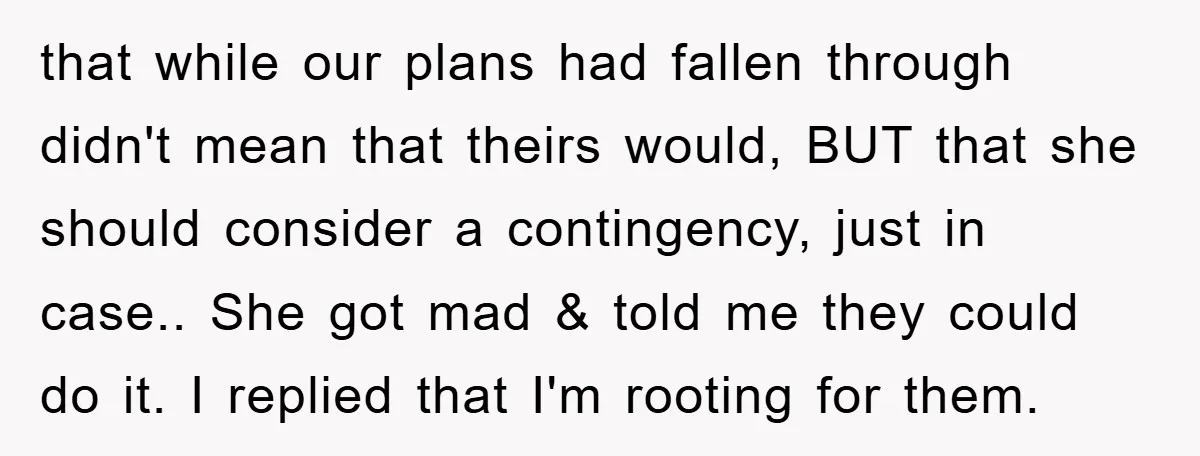 that while our plans had fallen through didn't mean that theirs would, BUT that she should consider a contingency, just in case.. She got mad & told me they could...