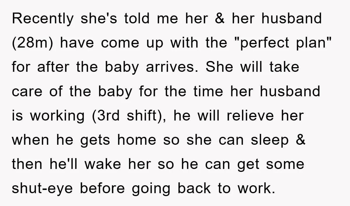 Recently she's told me her & her husband (28m) have come up with the "perfect plan" for after the baby arrives. She will take care of the baby for the...