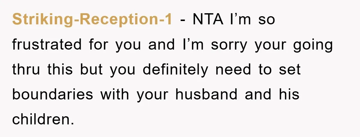 Striking-Reception-1 − NTA I’m so frustrated for you and I’m sorry your going thru this but you definitely need to set boundaries with your husband and his children.