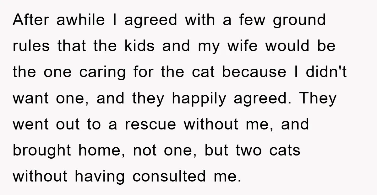 After awhile I agreed with a few ground rules that the kids and my wife would be the one caring for the cat because I didn't want one, and they...