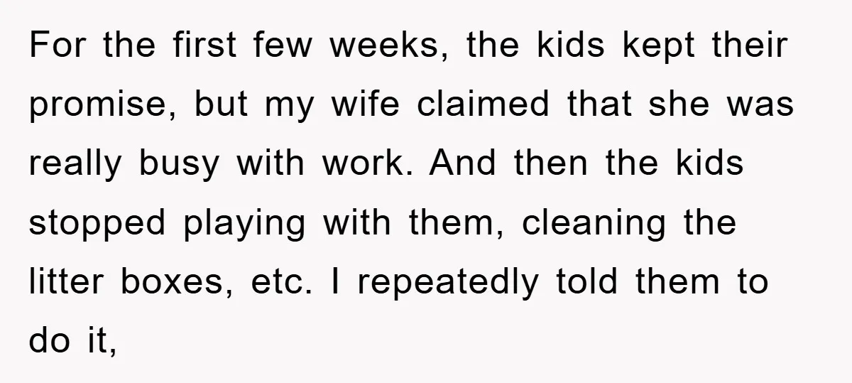 For the first few weeks, the kids kept their promise, but my wife claimed that she was really busy with work. And then the kids stopped playing with them, cleaning...