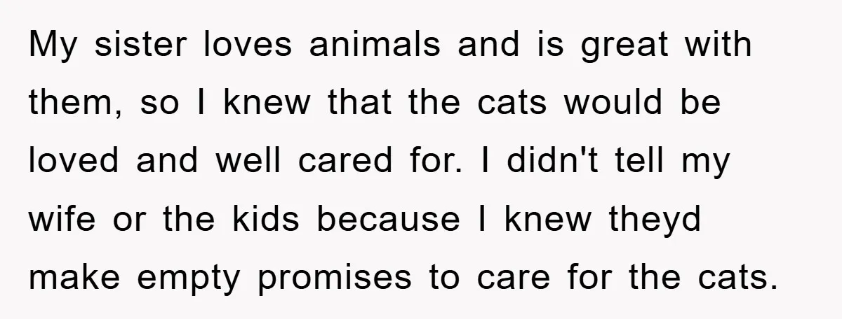 My sister loves animals and is great with them, so I knew that the cats would be loved and well cared for. I didn't tell my wife or the kids...