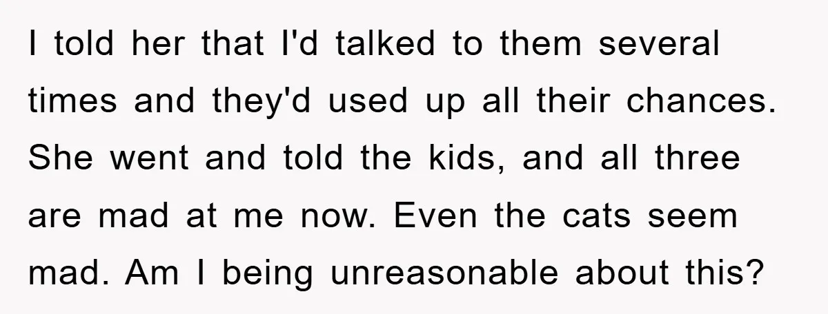 I told her that I'd talked to them several times and they'd used up all their chances. She went and told the kids, and all three are mad at me...