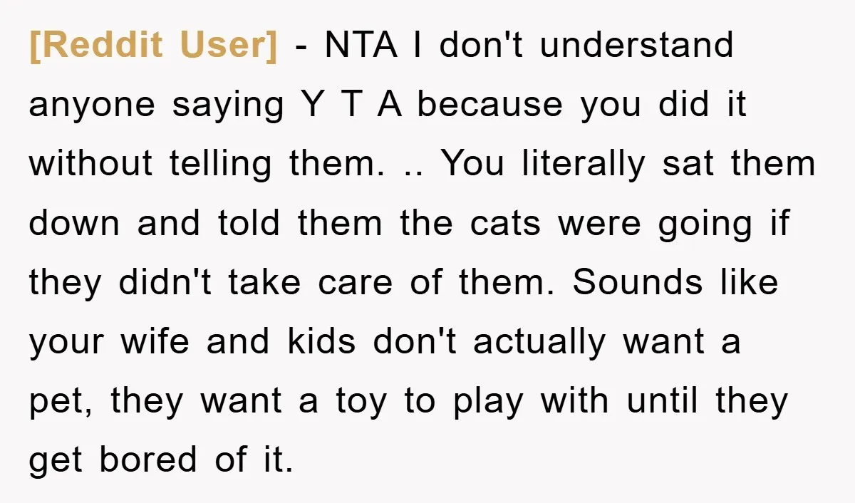 [Reddit User] − NTA I don't understand anyone saying Y T A because you did it without telling them. .. You literally sat them down and told them the cats...