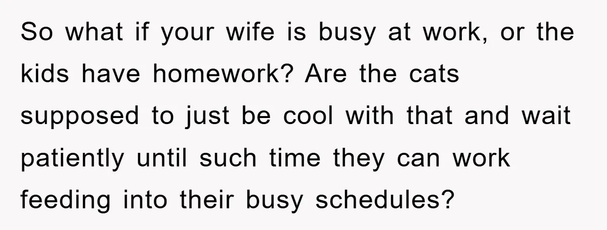 So what if your wife is busy at work, or the kids have homework? Are the cats supposed to just be cool with that and wait patiently until such time...