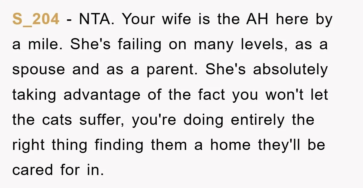 S_204 − NTA. Your wife is the AH here by a mile. She's failing on many levels, as a spouse and as a parent. She's absolutely taking advantage of the...