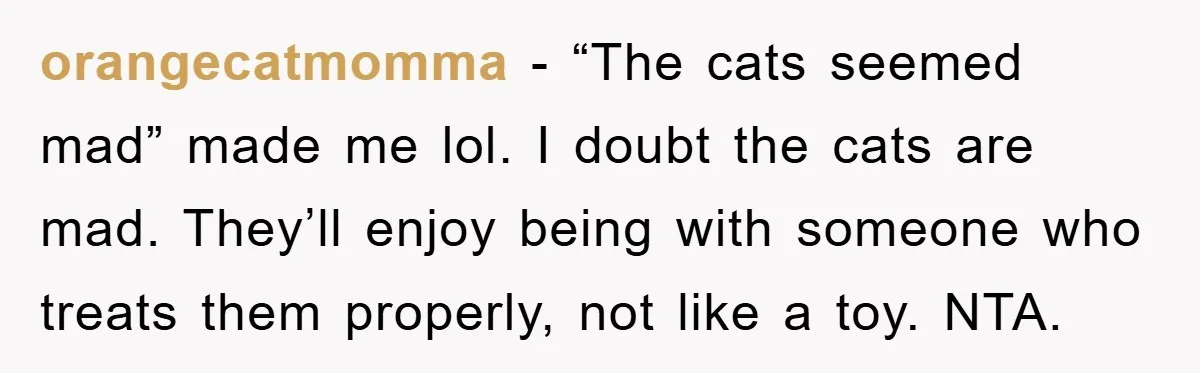 orangecatmomma − “The cats seemed mad” made me lol. I doubt the cats are mad. They’ll enjoy being with someone who treats them properly, not like a toy. NTA.