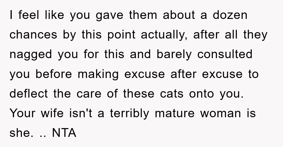 I feel like you gave them about a dozen chances by this point actually, after all they nagged you for this and barely consulted you before making excuse after excuse...
