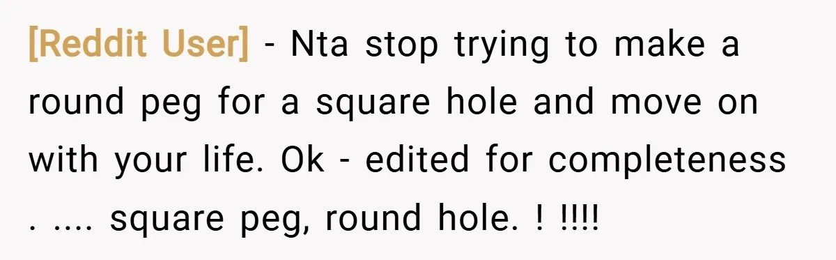 [Reddit User] − Nta stop trying to make a round peg for a square hole and move on with your life. Ok - edited for completeness . .... square peg,...