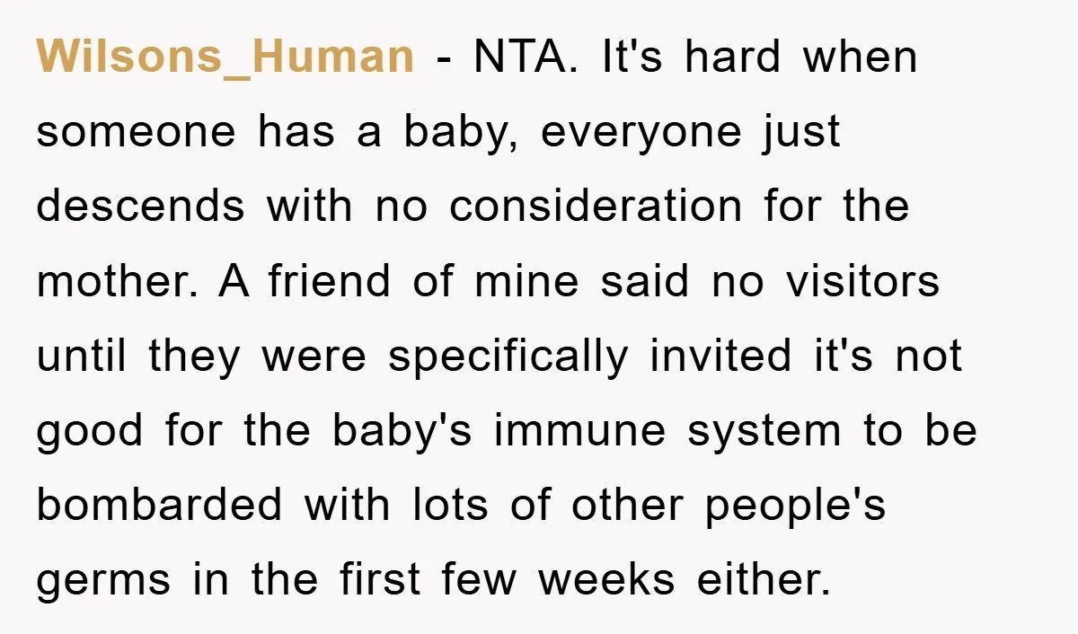 Wilsons_Human − NTA. It's hard when someone has a baby, everyone just descends with no consideration for the mother. A friend of mine said no visitors until they were specifically...