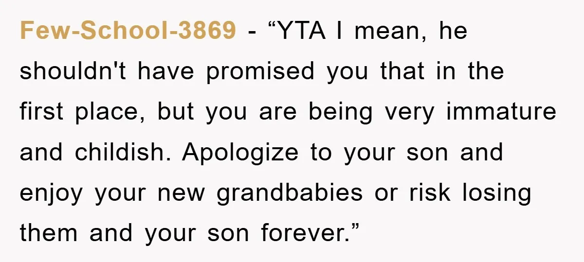 Few-School-3869 - “YTA I mean, he shouldn't have promised you that in the first place, but you are being very immature and childish. Apologize to your son and enjoy your...
