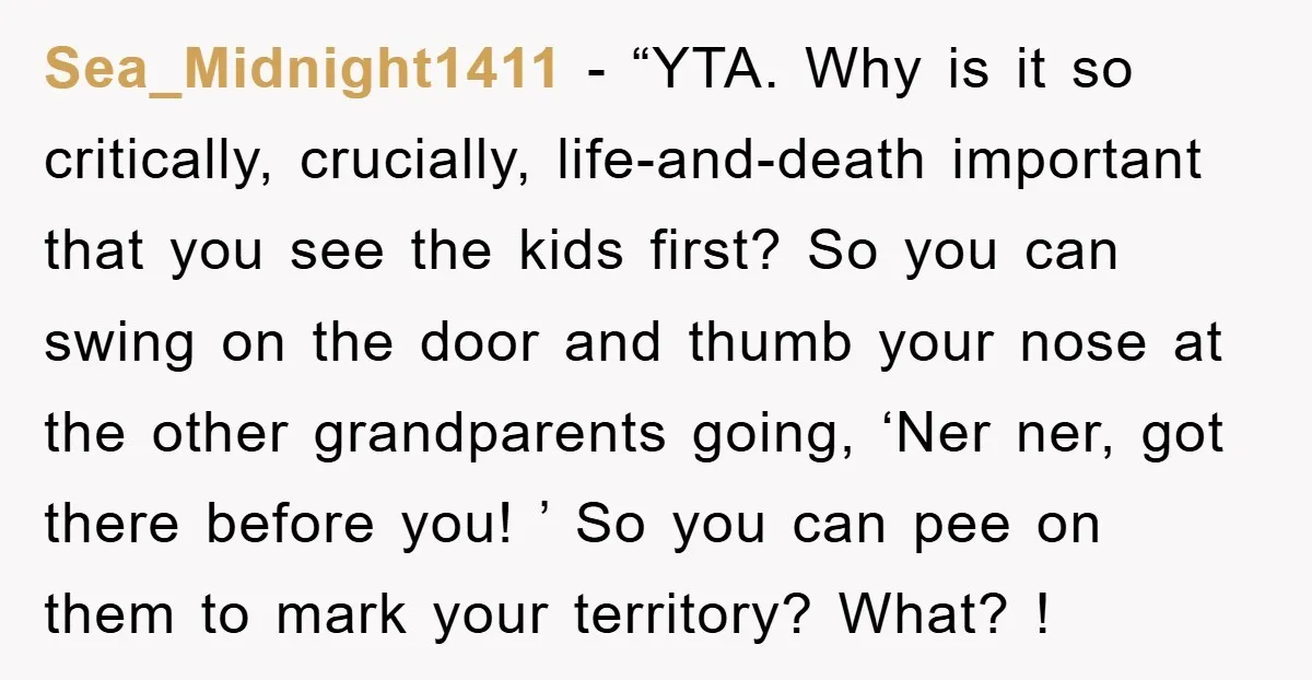 Sea_Midnight1411 - “YTA. Why is it so critically, crucially, life-and-death important that you see the kids first? So you can swing on the door and thumb your nose at the...