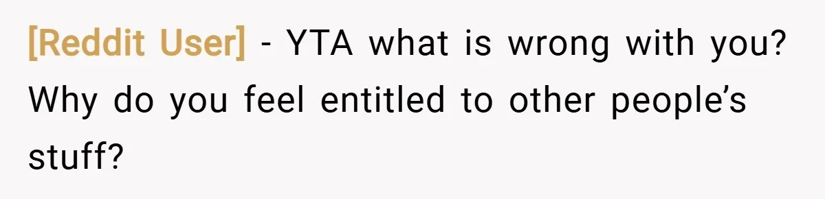 [Reddit User] − YTA what is wrong with you? Why do you feel entitled to other people’s stuff?