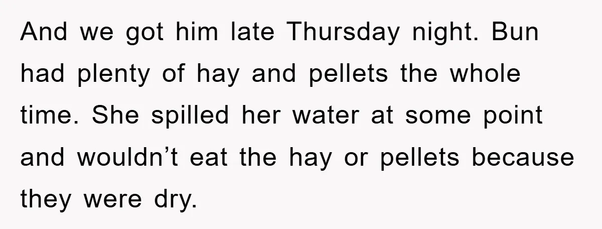And we got him late Thursday night. Bun had plenty of hay and pellets the whole time. She spilled her water at some point and wouldn’t eat the hay or...