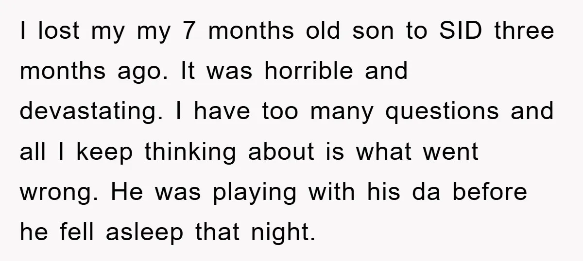 I lost my my 7 months old son to SID three months ago. It was horrible and devastating. I have too many questions and all I keep thinking about is...
