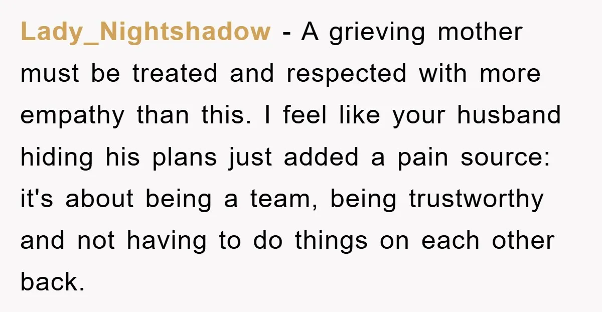 Lady_Nightshadow − A grieving mother must be treated and respected with more empathy than this. I feel like your husband hiding his plans just added a pain source: it's about...