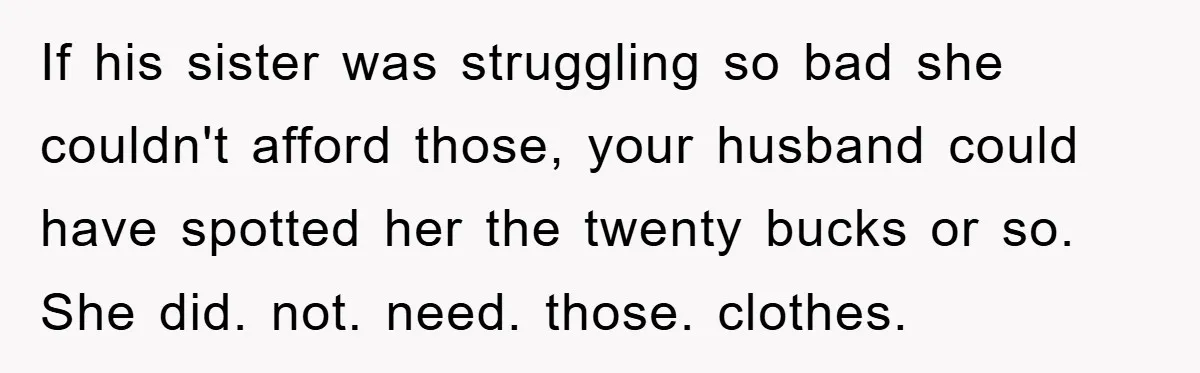 If his sister was struggling so bad she couldn't afford those, your husband could have spotted her the twenty bucks or so. She did. not. need. those. clothes.
