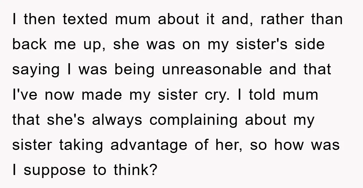 I then texted mum about it and, rather than back me up, she was on my sister's side saying I was being unreasonable and that I've now made my sister...