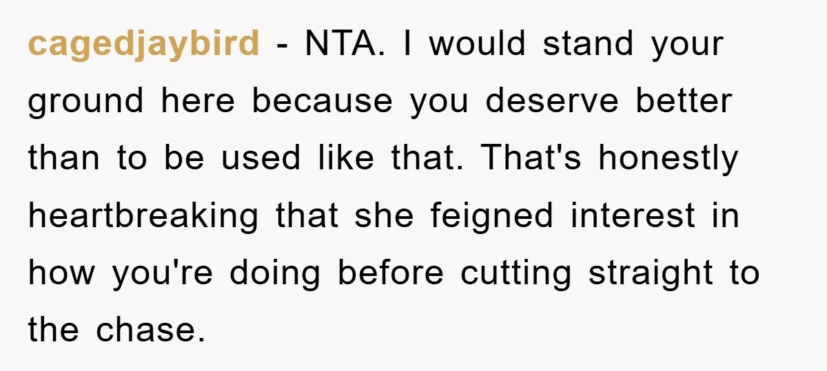 cagedjaybird − NTA. I would stand your ground here because you deserve better than to be used like that. That's honestly heartbreaking that she feigned interest in how you're doing...