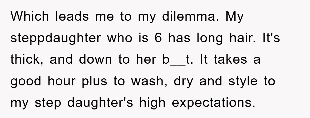 Which leads me to my dilemma. My steppdaughter who is 6 has long hair. It's thick, and down to her b__t. It takes a good hour plus to wash, dry...