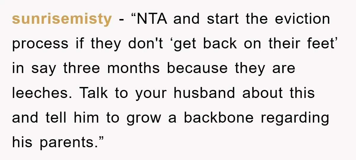 sunrisemisty - “NTA and start the eviction process if they don't ‘get back on their feet’ in say three months because they are leeches. Talk to your husband about this...