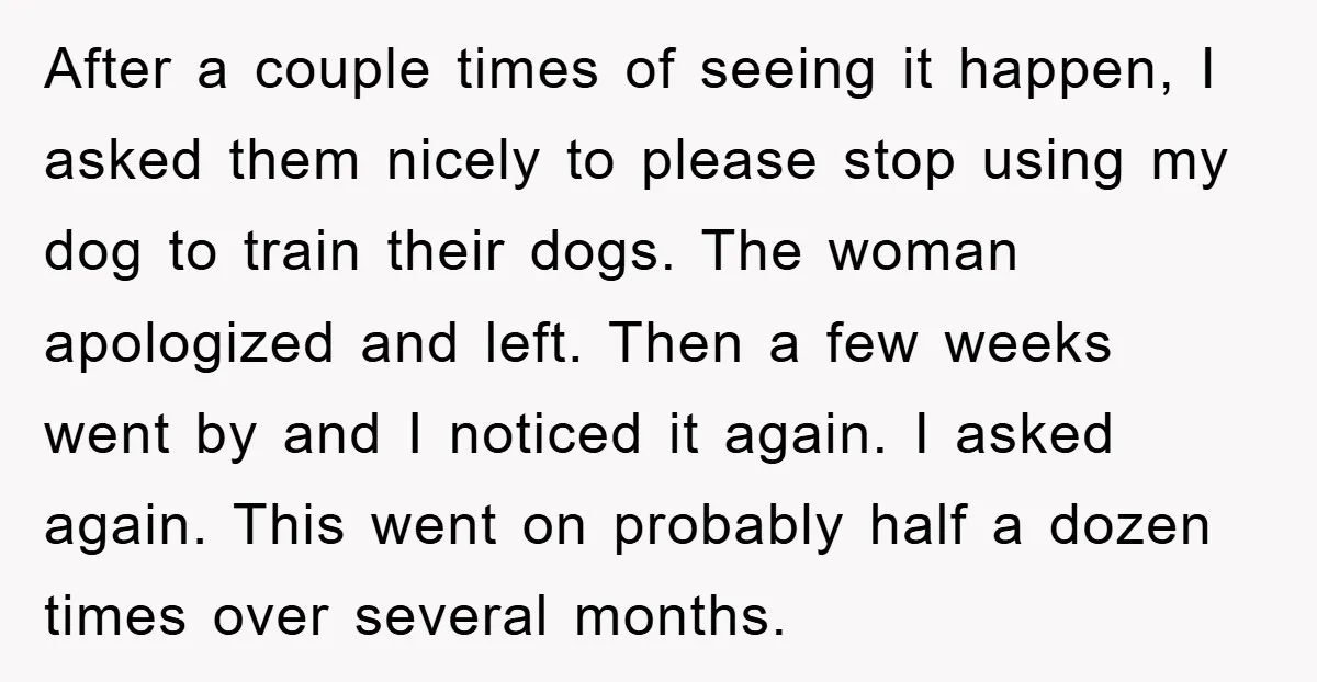 After a couple times of seeing it happen, I asked them nicely to please stop using my dog to train their dogs. The woman apologized and left. Then a few...