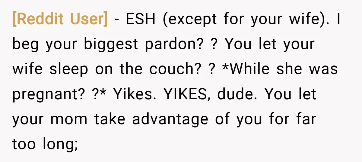 [Reddit User] − ESH (except for your wife). I beg your biggest pardon? ? You let your wife sleep on the couch? ? *While she was pregnant? ?* Yikes. YIKES,...