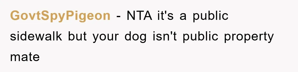 GovtSpyPigeon − NTA it's a public sidewalk but your dog isn't public property mate