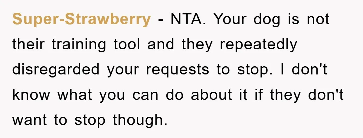 Super-Strawberry − NTA. Your dog is not their training tool and they repeatedly disregarded your requests to stop. I don't know what you can do about it if they don't...