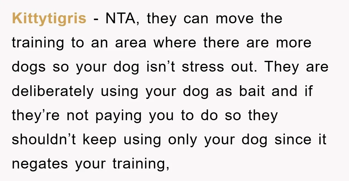 Kittytigris − NTA, they can move the training to an area where there are more dogs so your dog isn’t stress out. They are deliberately using your dog as bait...