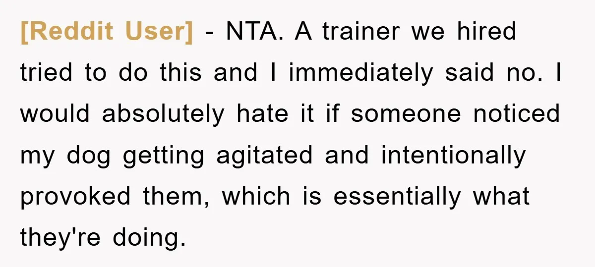 [Reddit User] − NTA. A trainer we hired tried to do this and I immediately said no. I would absolutely hate it if someone noticed my dog getting agitated and...