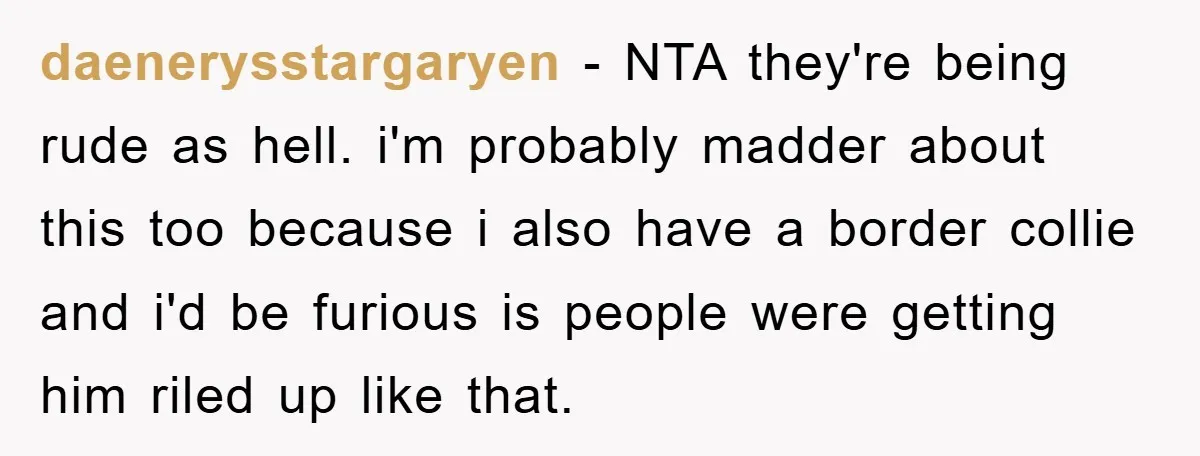 daenerysstargaryen − NTA they're being rude as hell. i'm probably madder about this too because i also have a border collie and i'd be furious is people were getting him...