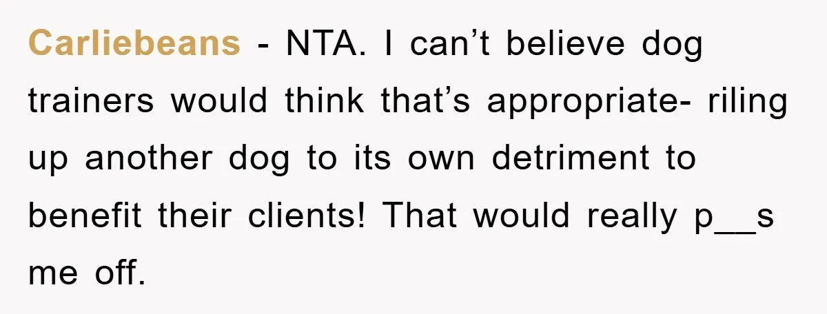 Carliebeans − NTA. I can’t believe dog trainers would think that’s appropriate- riling up another dog to its own detriment to benefit their clients! That would really p__s me off.