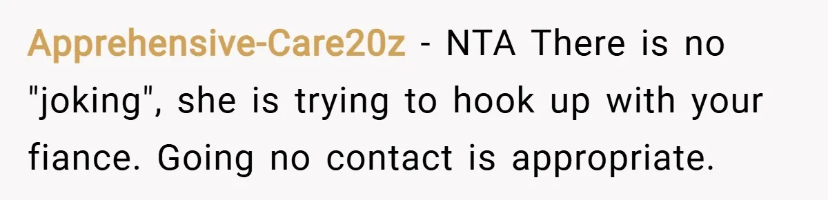 Apprehensive-Care20z − NTA There is no "joking", she is trying to hook up with your fiance. Going no contact is appropriate.