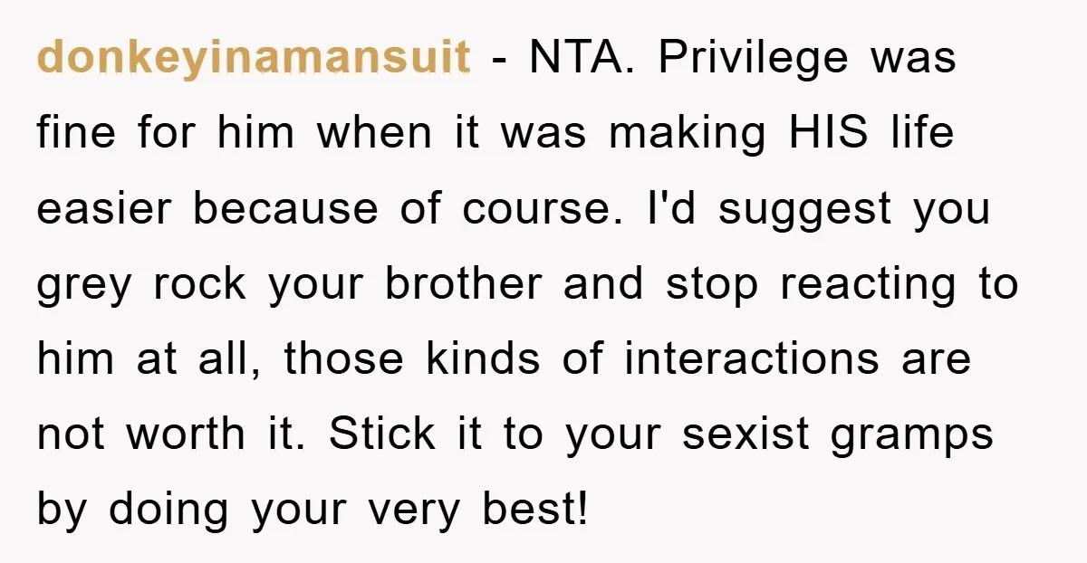 donkeyinamansuit − NTA. Privilege was fine for him when it was making HIS life easier because of course. I'd suggest you grey rock your brother and stop reacting to him...