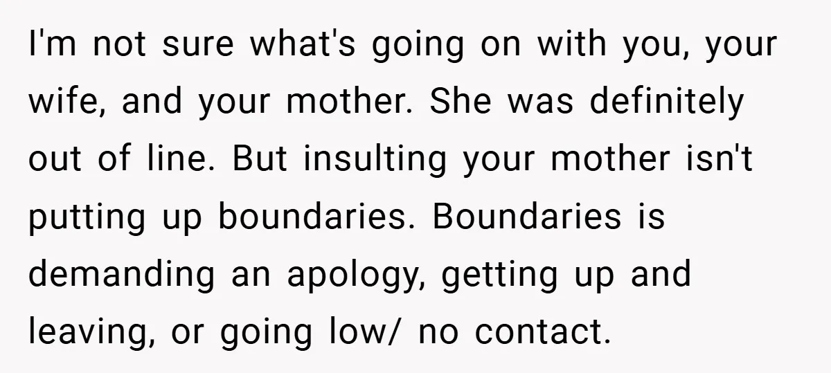 I'm not sure what's going on with you, your wife, and your mother. She was definitely out of line. But insulting your mother isn't putting up boundaries. Boundaries is demanding...