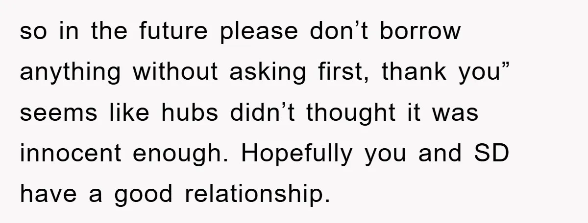 so in the future please don’t borrow anything without asking first, thank you” seems like hubs didn’t thought it was innocent enough. Hopefully you and SD have a good relationship.