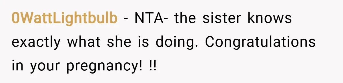0WattLightbulb − NTA- the sister knows exactly what she is doing. Congratulations in your pregnancy! !!