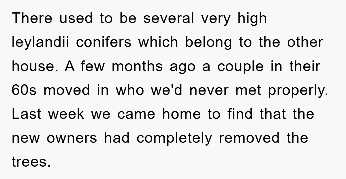 There used to be several very high leylandii conifers which belong to the other house. A few months ago a couple in their 60s moved in who we'd never met...