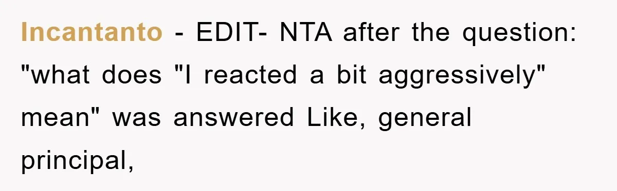 Incantanto − EDIT- NTA after the question: "what does "I reacted a bit aggressively" mean" was answered Like, general principal,