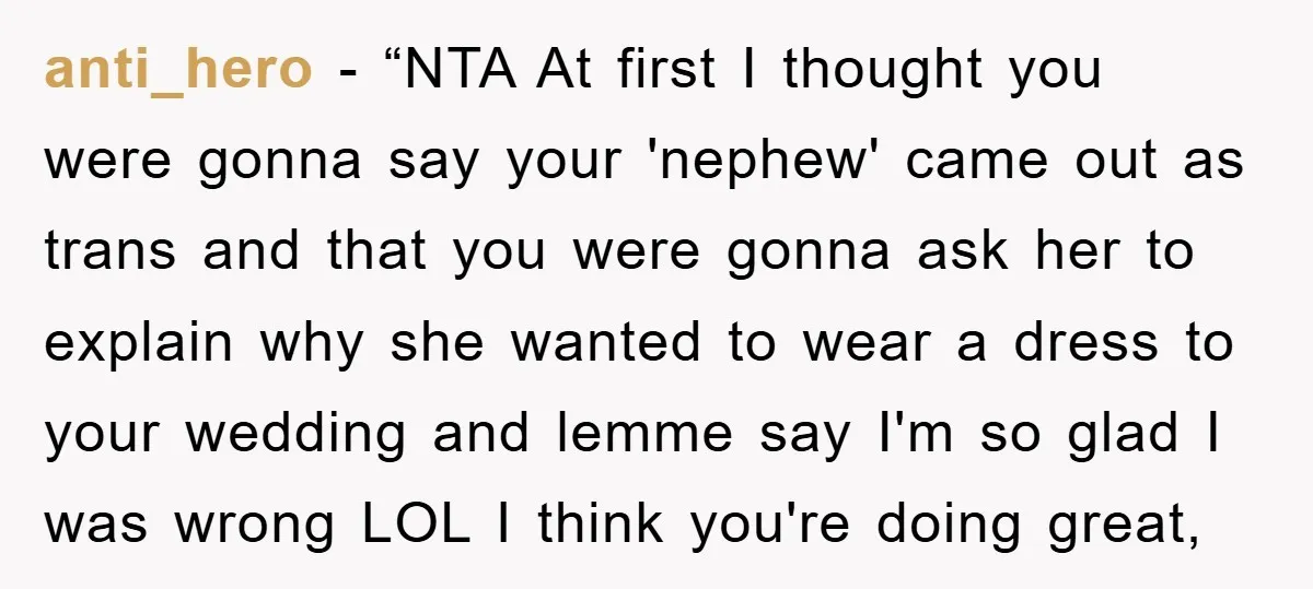 anti_hero − “NTA At first I thought you were gonna say your 'nephew' came out as trans and that you were gonna ask her to explain why she wanted to...