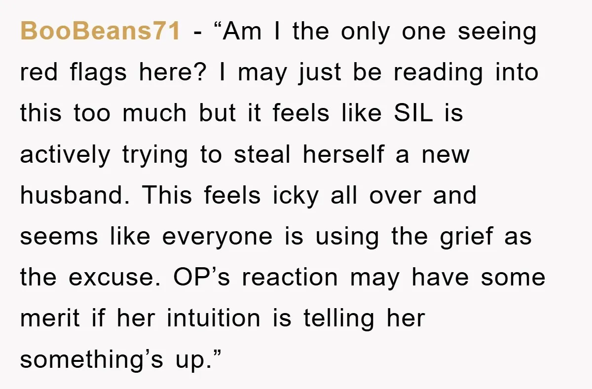 BooBeans71 − “Am I the only one seeing red flags here? I may just be reading into this too much but it feels like SIL is actively trying to steal...