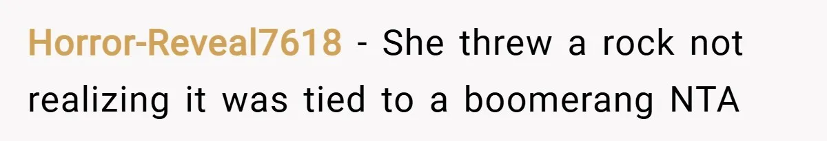Horror-Reveal7618 − She threw a rock not realizing it was tied to a boomerang NTA