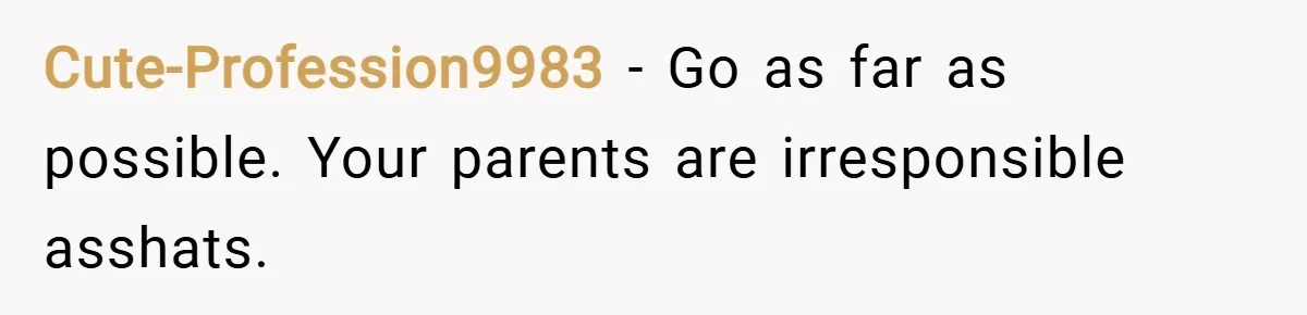 Cute-Profession9983 − Go as far as possible. Your parents are irresponsible asshats.