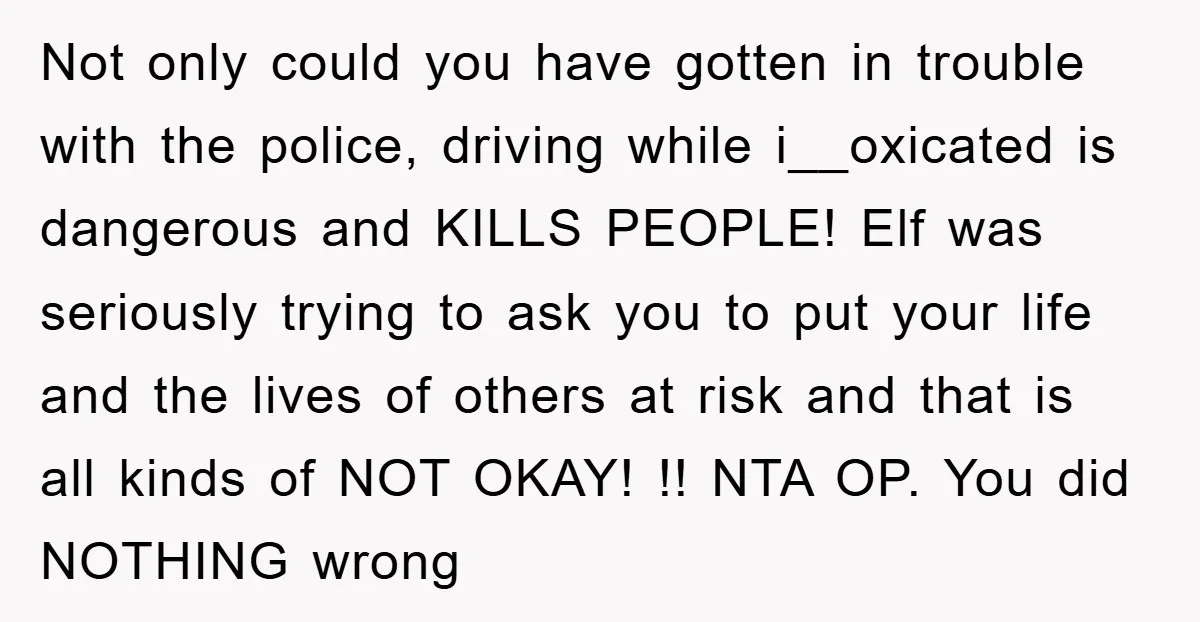 Not only could you have gotten in trouble with the police, driving while i__oxicated is dangerous and KILLS PEOPLE! Elf was seriously trying to ask you to put your life...