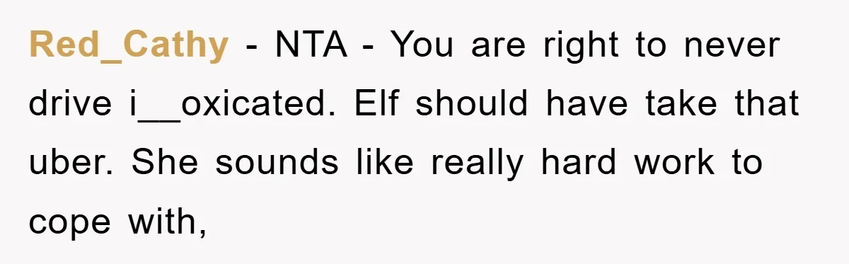 Red_Cathy − NTA - You are right to never drive i__oxicated. Elf should have take that uber. She sounds like really hard work to cope with,