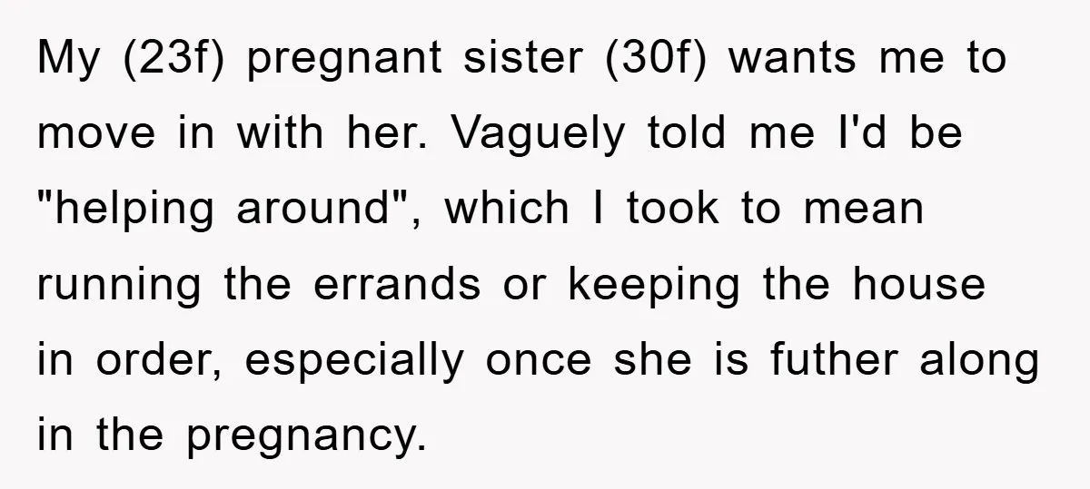 My (23f) pregnant sister (30f) wants me to move in with her. Vaguely told me I'd be "helping around", which I took to mean running the errands or keeping the...
